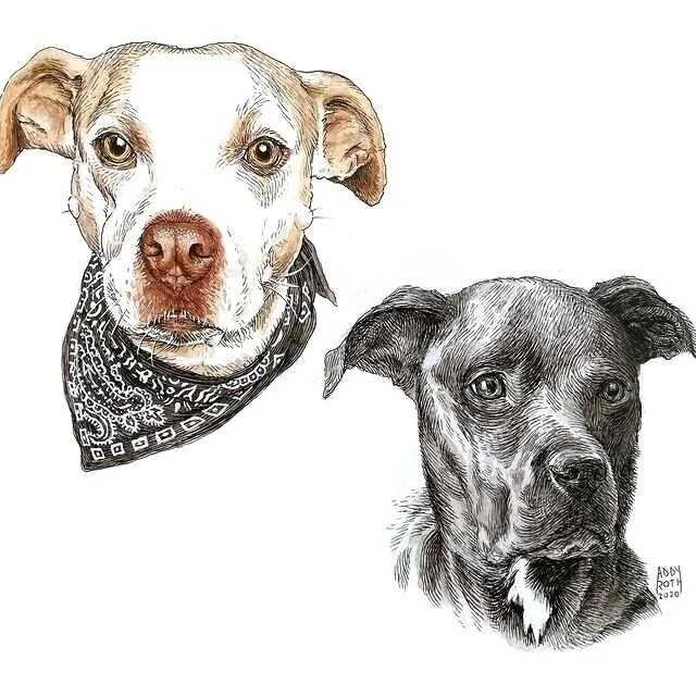 Pet Portrait